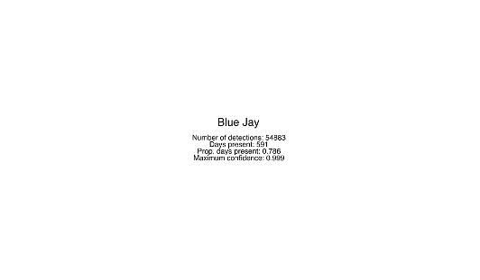 Jay, Blue